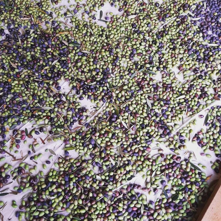 La Villa Jasmin モントルー エクステリア 写真