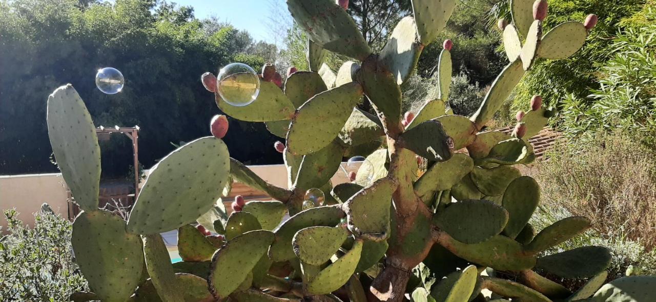 La Villa Jasmin モントルー エクステリア 写真