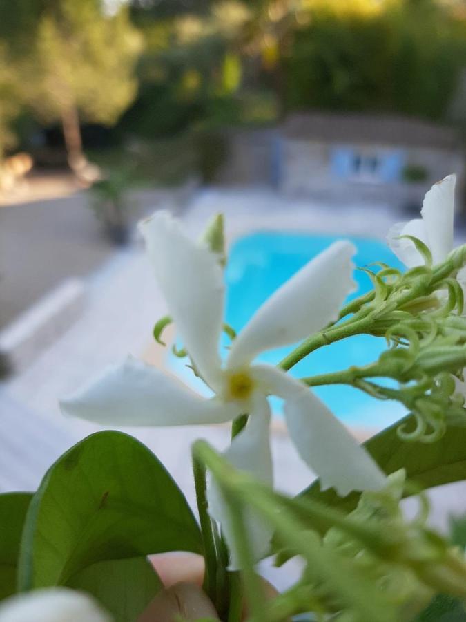 La Villa Jasmin モントルー エクステリア 写真